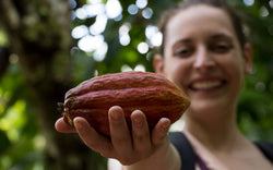 Image of A Joyful Step for JACEK: The Bean-to-Bar Collection