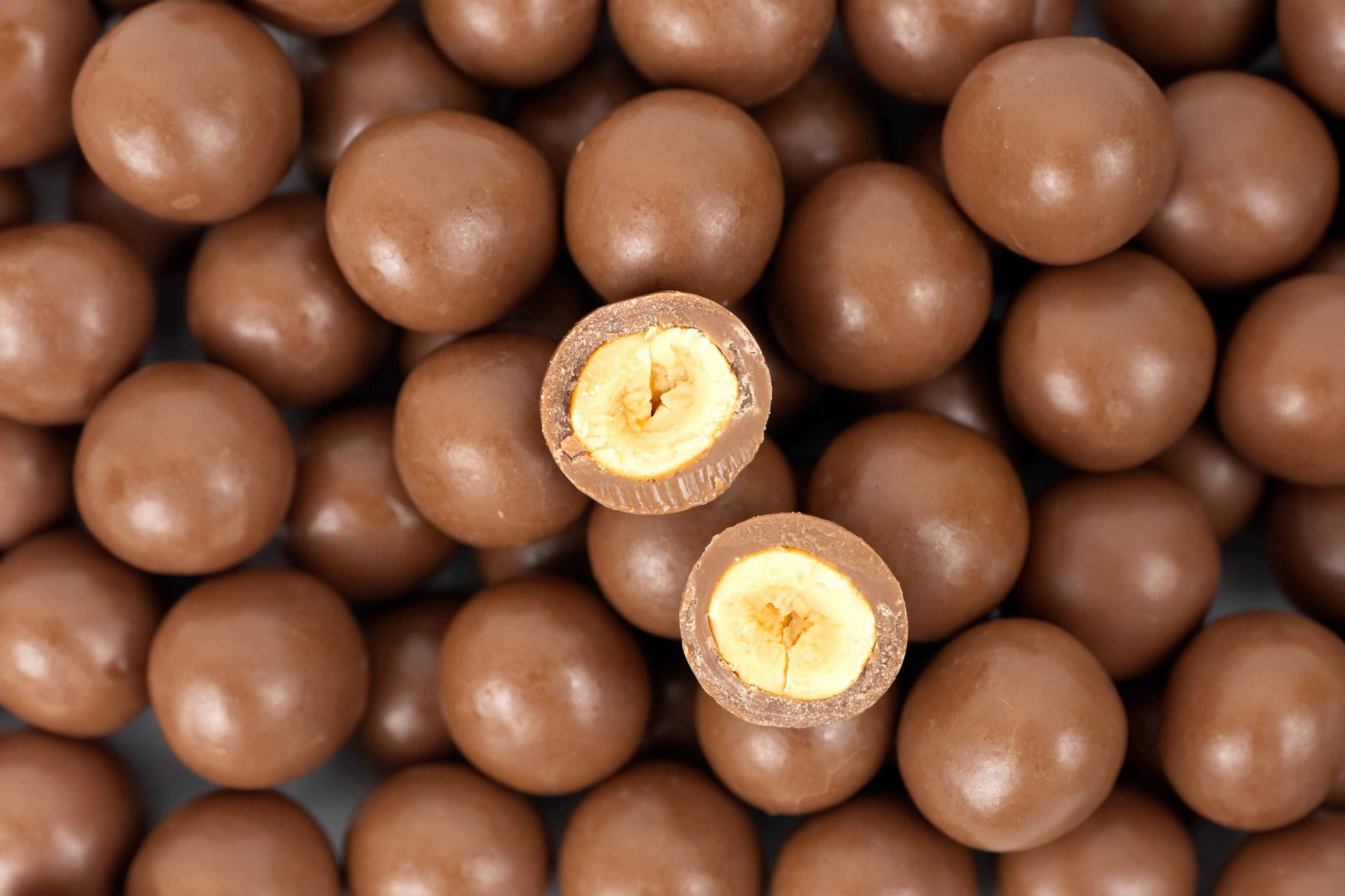 Hazelnuts in Milk Chocolate