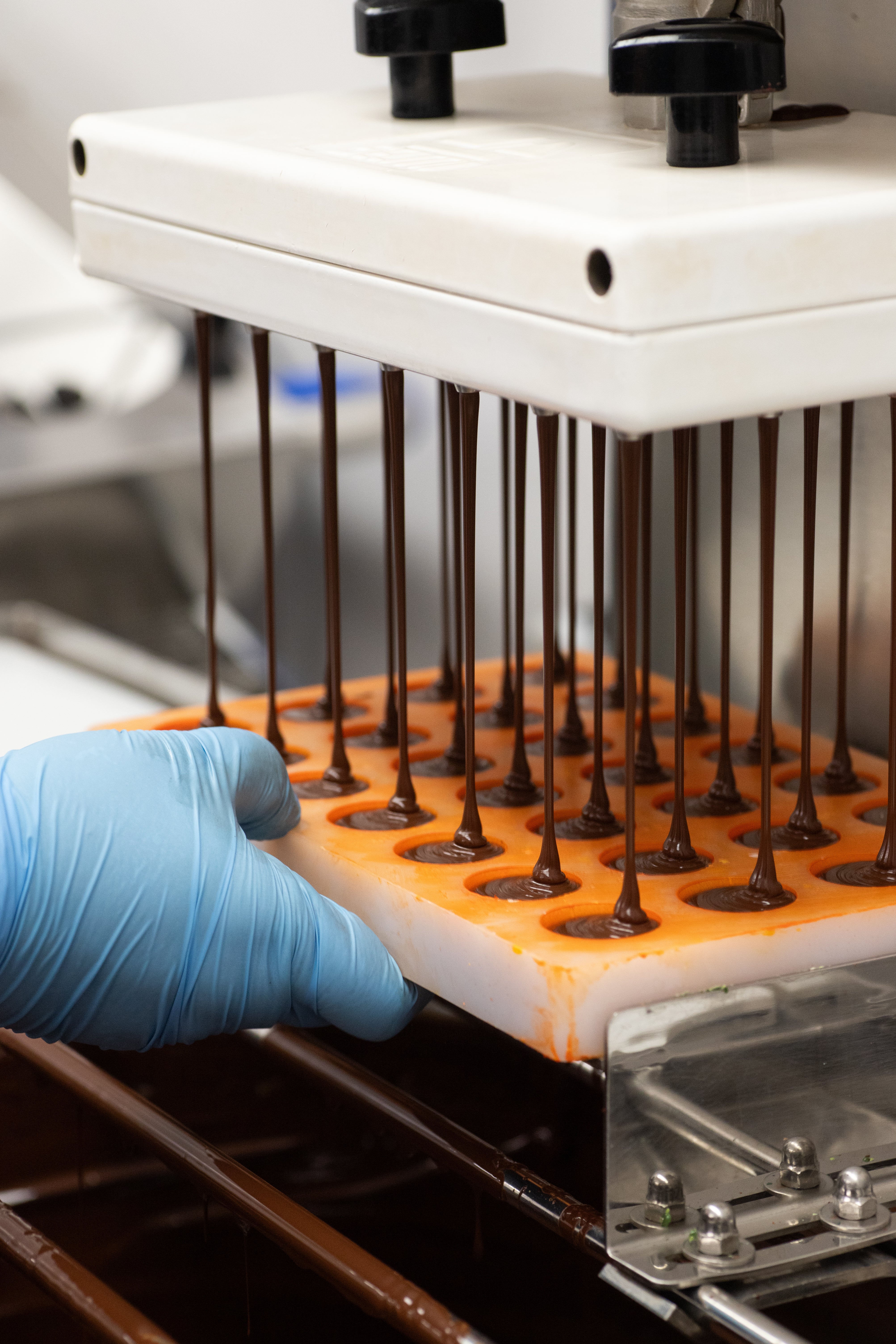 JACEK Chocolate Couture