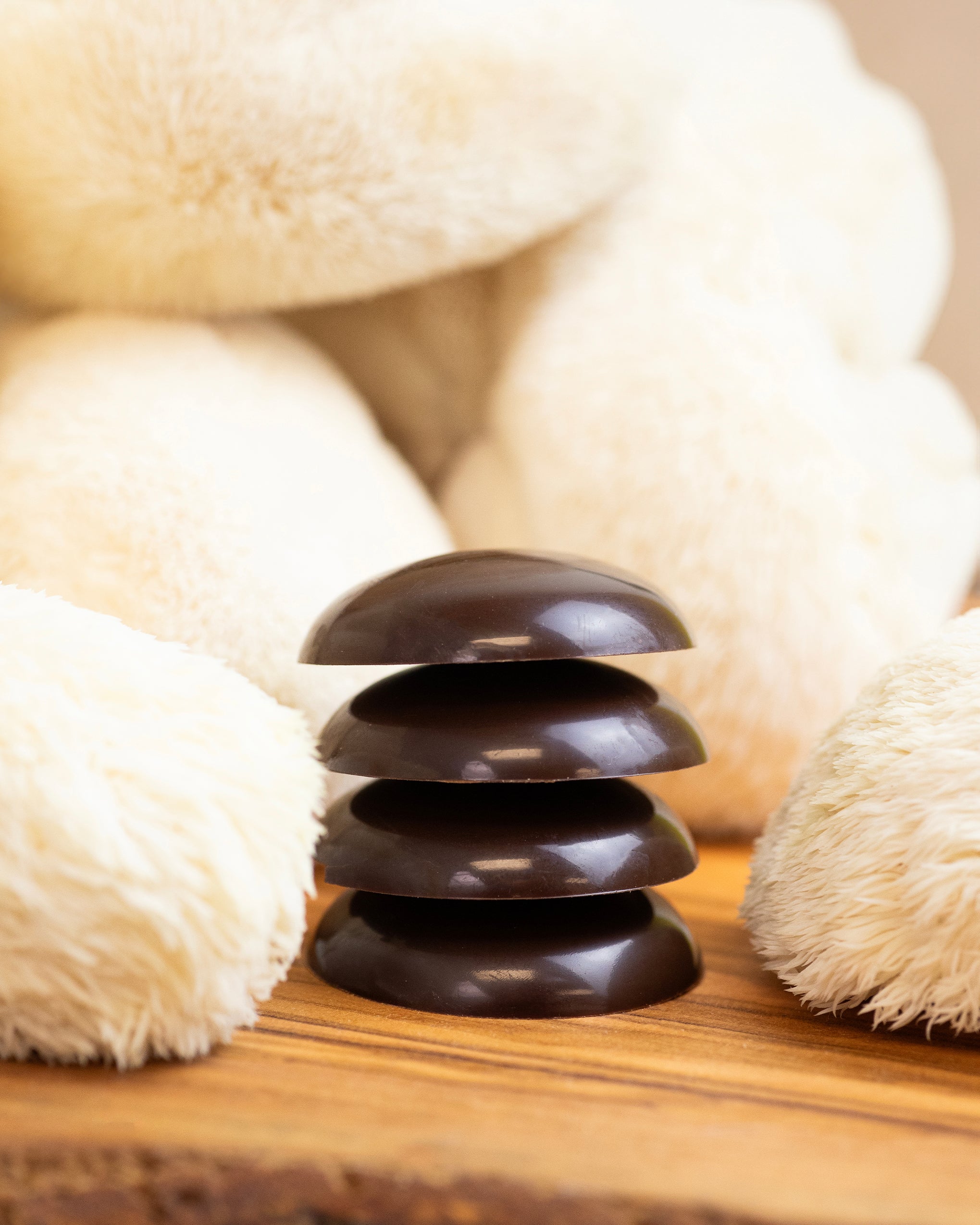 JACEK Chocolate Couture