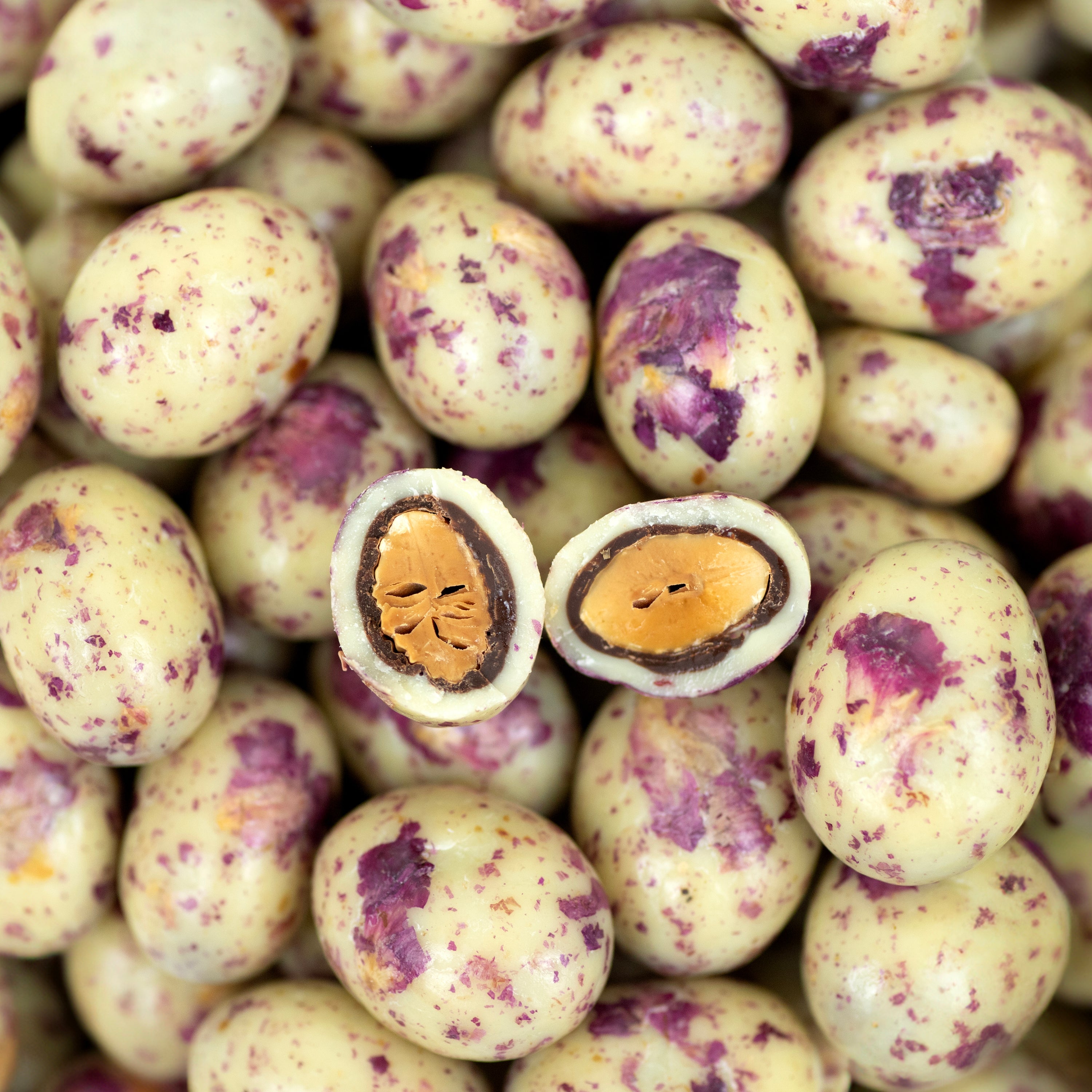 JACEK Chocolate Couture